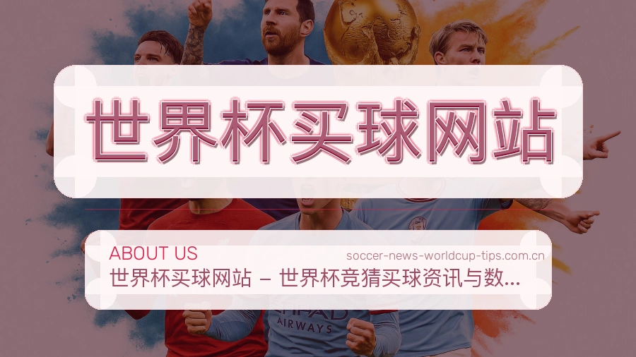 关于 世界杯买球网站